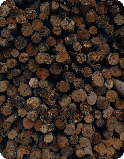 Platero Leña Pack 500KG